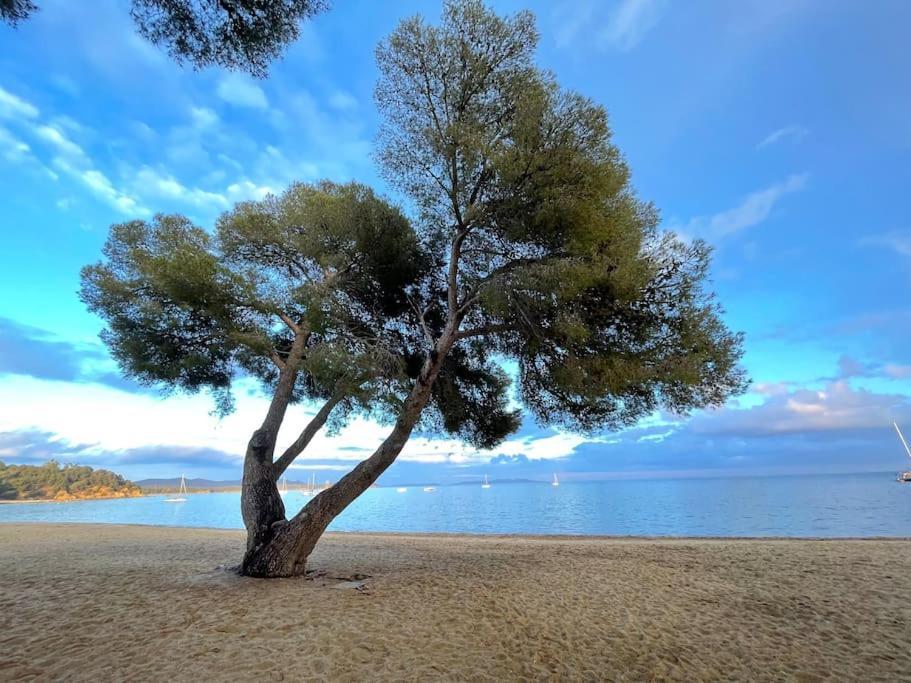 Appartement Plage Piscine Et Tennis Inclus La Londe-les-Maures Extérieur photo