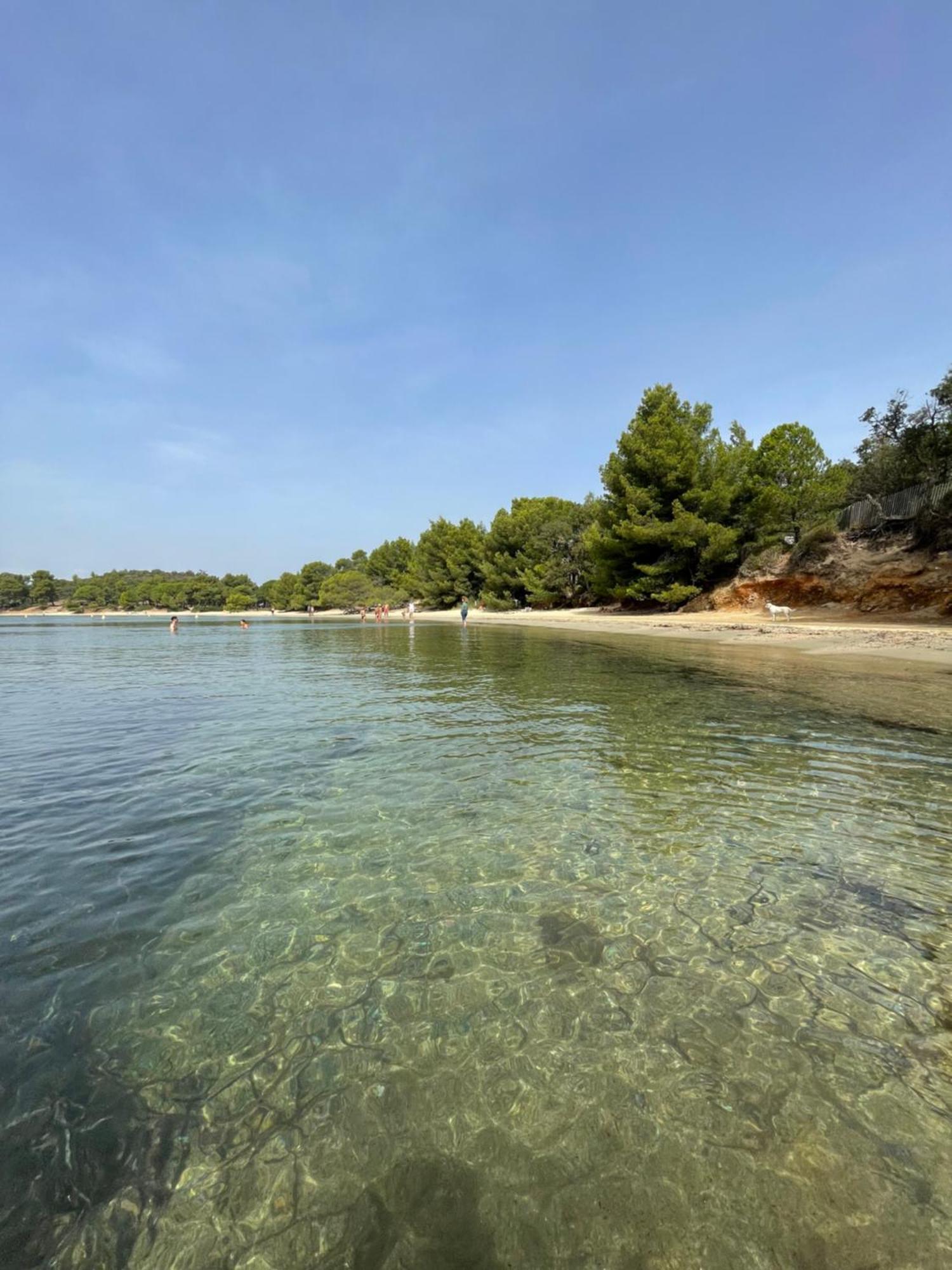 Appartement Plage Piscine Et Tennis Inclus La Londe-les-Maures Extérieur photo